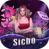 5111bet